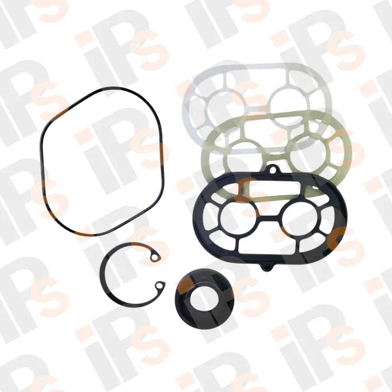 SK200 Gear Pump Kit