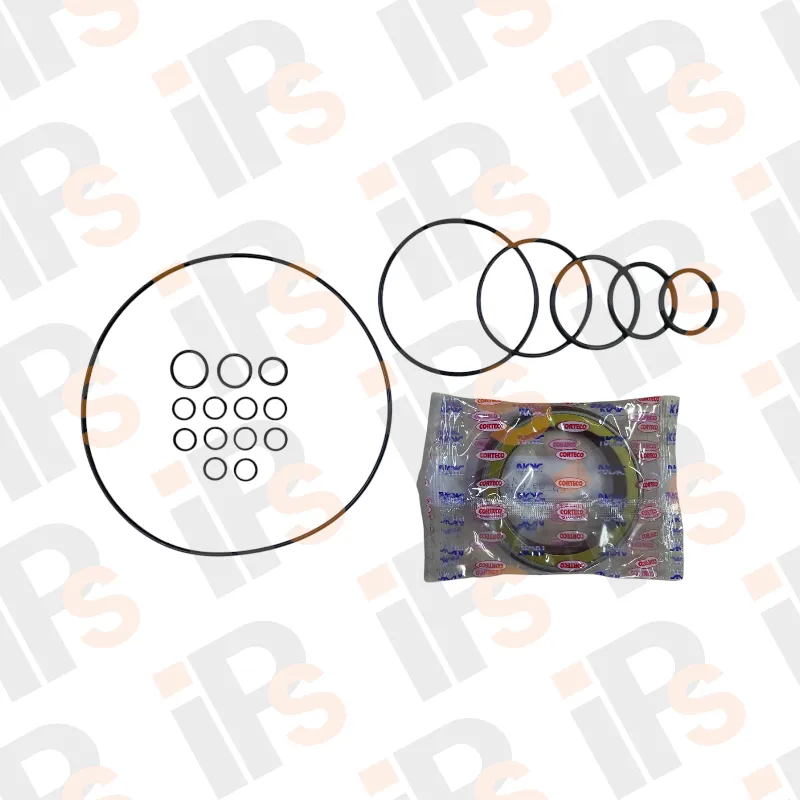 EX300-1 Main Pump Kit
